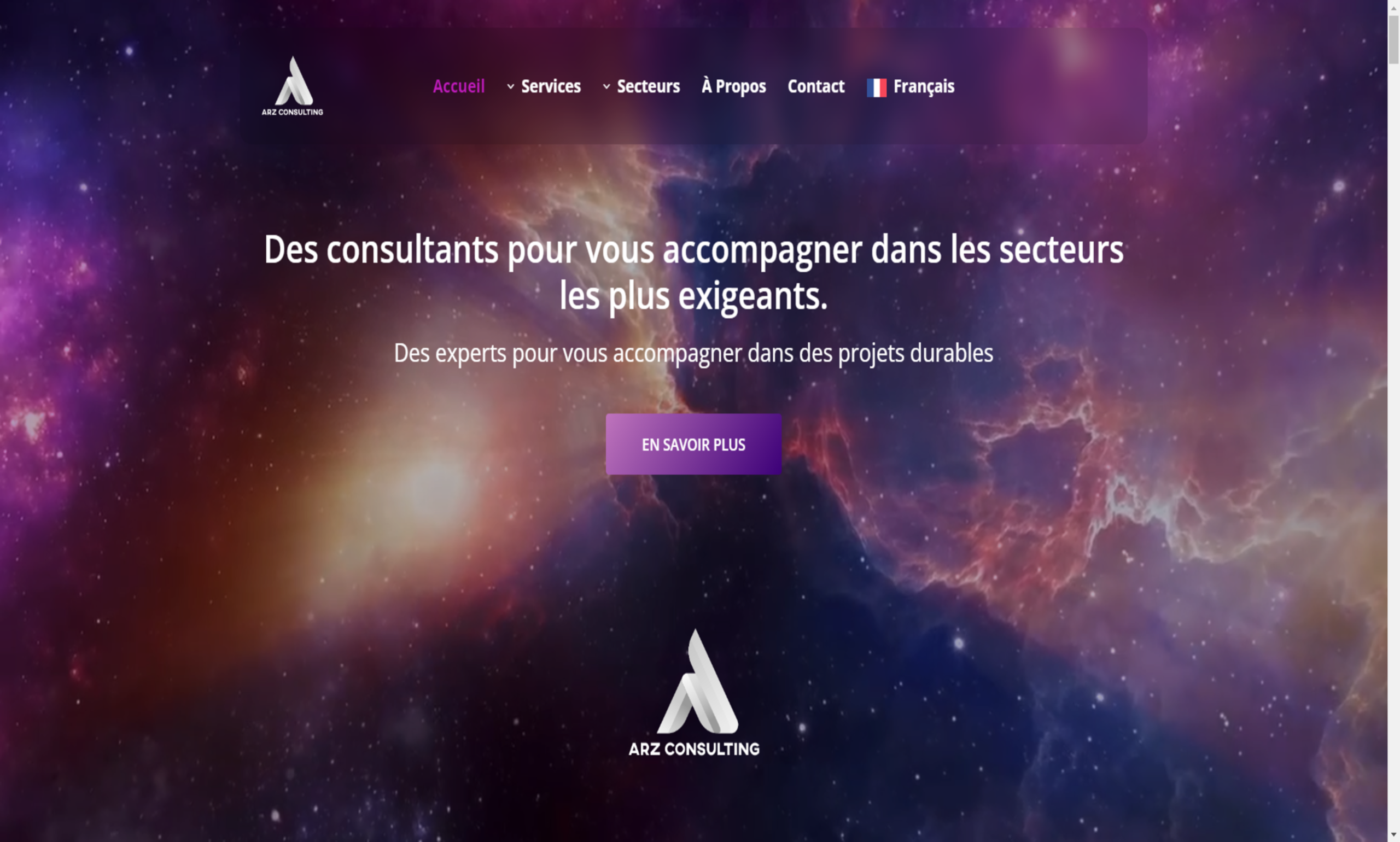 ARZ Consulting